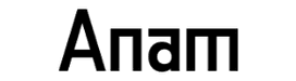 Anam logo